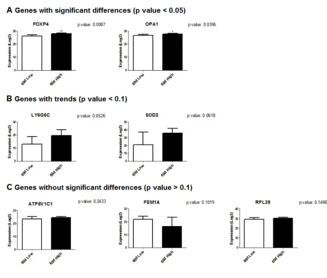 Figure 2.6  Expression  profiles  (log 2 )  of  seven  genes  validated  by  quantitative 