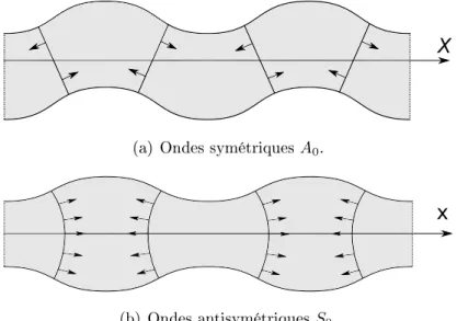 Figure 2.3 Représentation de la déformée des deux premiers modes des ondes de Lamb (2D).