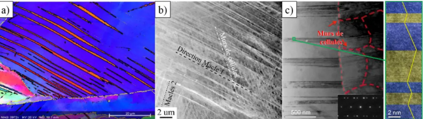 Figure I-46 :a) Cartographie EBSD d’une macle dans un grain en 316L SLM, d’après Pham [122]