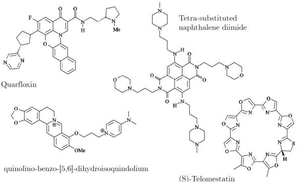 Figure 2.4: Examples of G4 ligands. Quarfloxin, the first G4-binding molecule that underwent clinical trials [96]