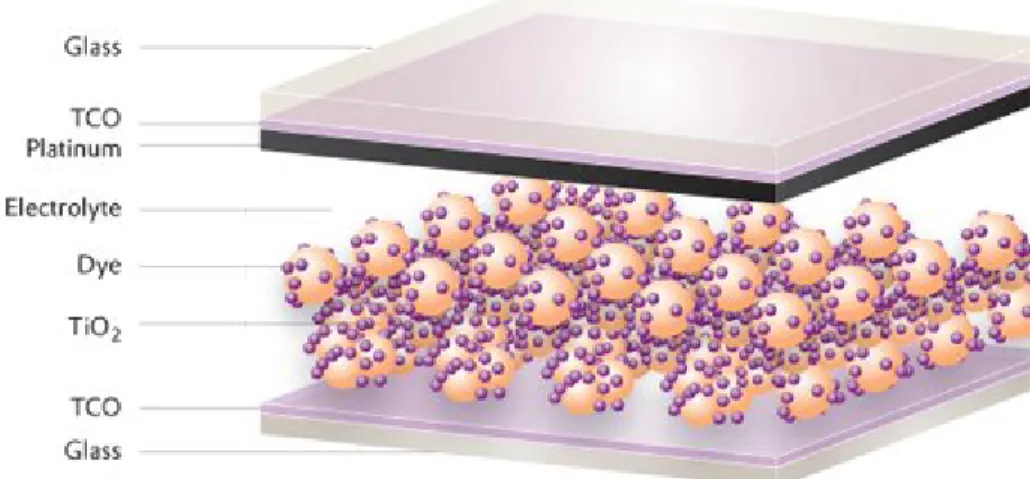 Figure 1.3.3: General architecture of a Dye Sensitized Solar Cell (DSSC). The charges are photo- photo-generated by the photosensitive dye and separated at the surface between the dye, the TiO2  semi-conductor and electrolyte