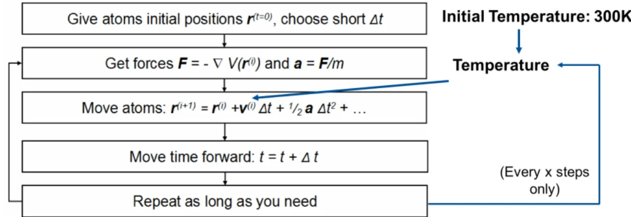 Figure 3.5.1: Schematic view of a molecular dynamics algorithm. The initial temperature and the number x are inputs to the code.
