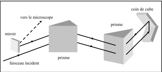 Figure II.2.4 : illustration du système de prismes utilisés en aller-retour intégré dans notre 