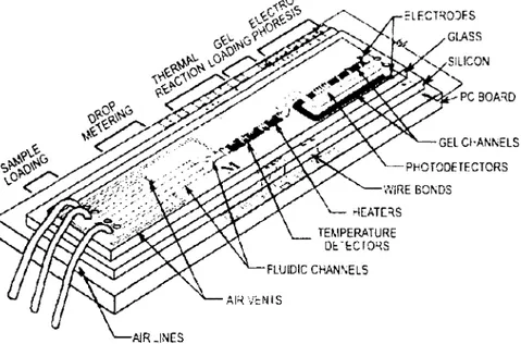 Figure  1.1  Système de  laboratoire sur puce complet  (Tiré de  [Bashir,2004])