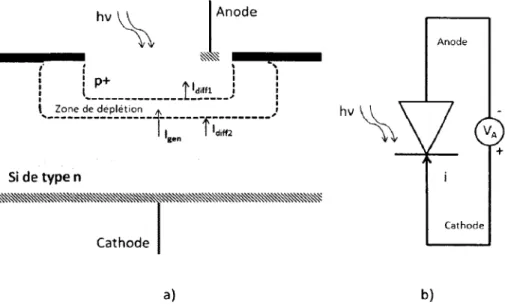 Figure 2.9 Photodiode p-n  a) structure enterrée dans  le silicium  et b) symbole électrique en polarisation  inverse