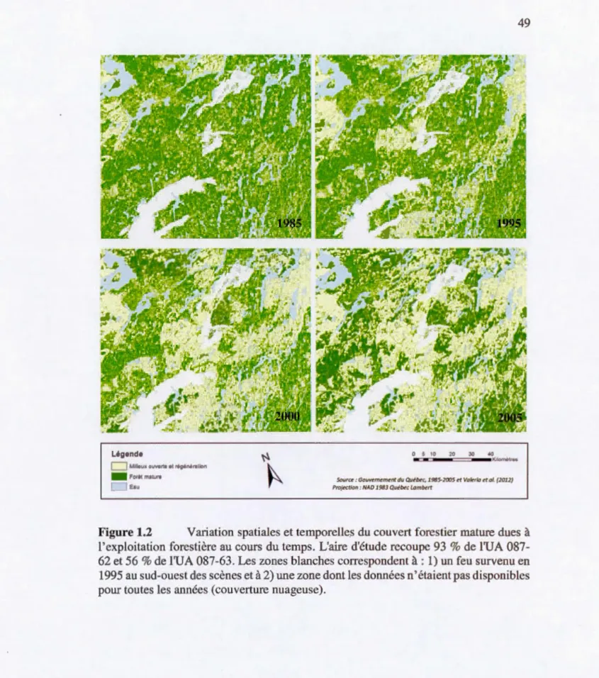 Figure 1.2  Variation  spatiales et  temporelle . s  du  couvert forestier mature  dues  à 