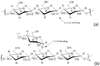 Figure 3.3: Top view of molecular organization of A-type starch (a) and B-type starches (b)  (reproduced with permission from Pérez et al., 2009) 