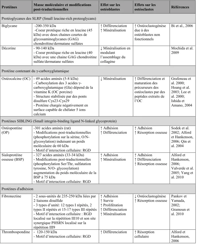Tableau 2.1 - Les protéines non collagène de la matrice extracellulaire osseuse (Drevelle 2013) 