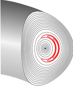 Figure 2.3  Schematic representation of a magnetic island, evidenced in red. The black, solid lines represent the ux surfaces out of the magnetic island, with a D-shaped poloidal section