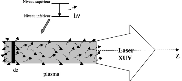 Figure 1.2.3. Amplification sous le système ASE. Si un photon h ν  « naît » dans la section dz 