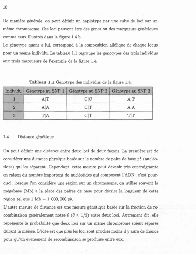 Tabl e au  1.1  Génotype des  individus  de  la  figure  1.4 . 