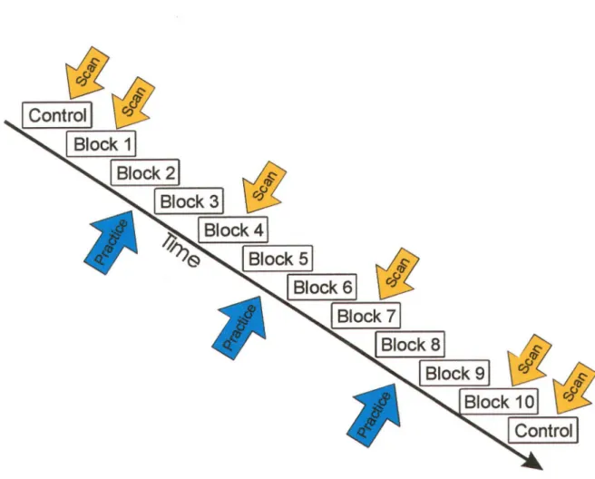 Figure 2: Experimental design used in this experiment. Six PET scans were carried out  in a single session including four experimental scans on Blocks 1,4,7, and 10,  as well as two control scans performed at the beginning and the end of the  scanning sess