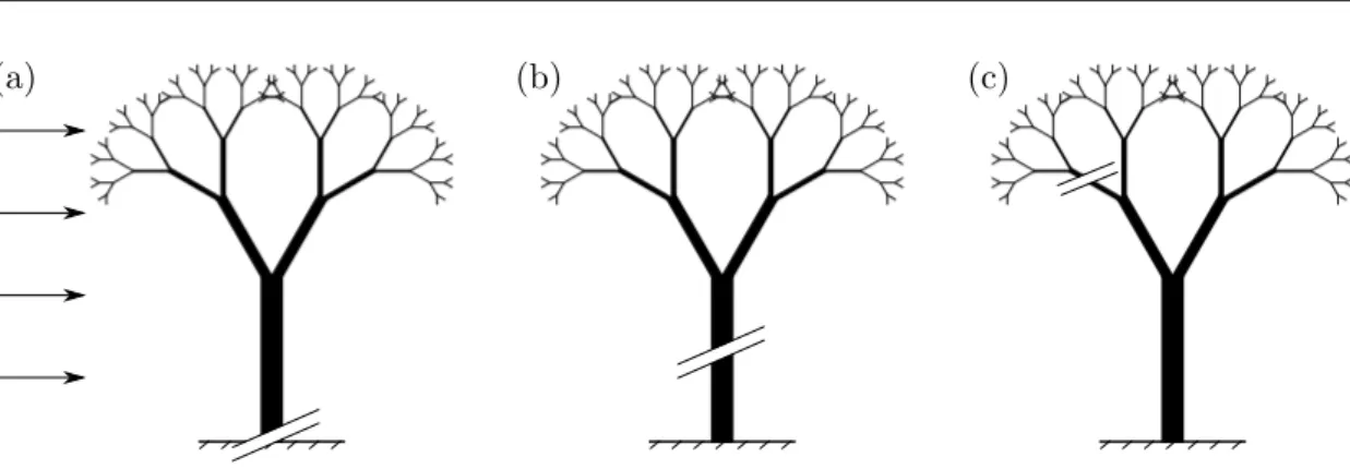 Figure 1.9: Schematic view of breakage process in a branched brittle system under flow