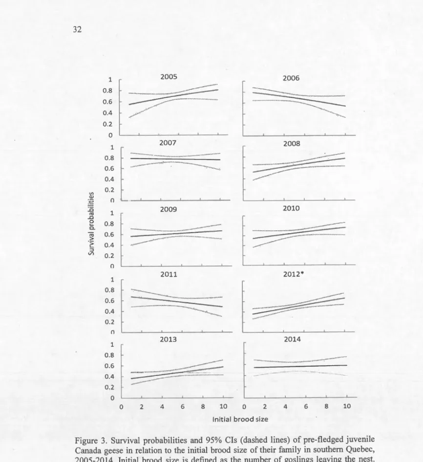 Figure  3.  Survival  probabilities  and  95%  Cls  (dashed  lines)  of  pre-fledged  juvenile 