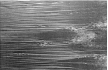 Figure 1.1. Smoke visualization of streaks in transition under the high-level free-stream turbu- turbu-lence in a boundary layer (from Matsubara &amp; Alfredsson, 2001).