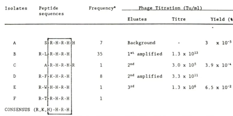 Tableau  no.3:  Résultats  du  criblage  de  la  peptothèque de 6  a.a.  par l'anticorps M73