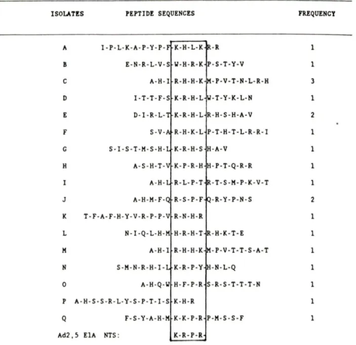 Tableau  no.4:  Résultats du  criblage de la peptothèque de  15  a.a.  par l'anticorps M73: 