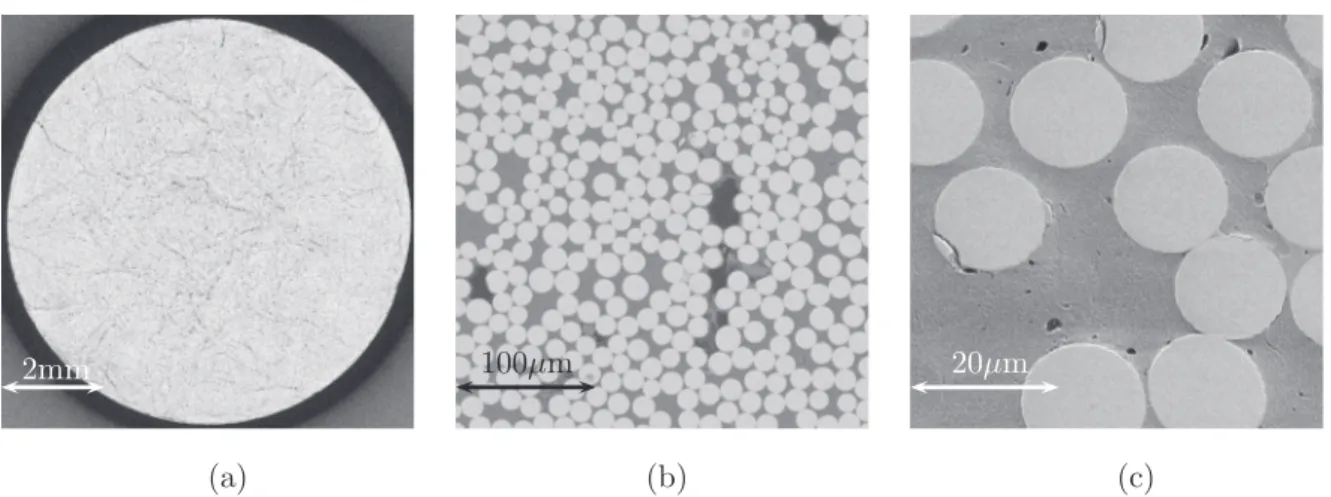 Fig. 3.3: Polyamide 6 renforcé de fibres de verre. (a) Coupe de tomographie-X d’un cliché reconstruit ; (b) et (c) images MEB avec différents grandissements.