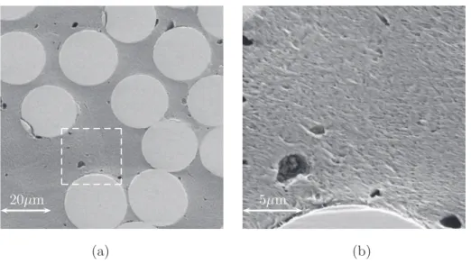 Fig. 3.18: (a) et (b) Images MEB de coupe transverse de PA6FV. Différents grandissements mettant en valeur la micro-porosité.