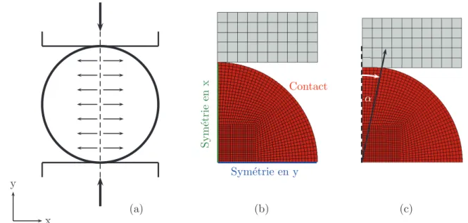 Fig. 4.1: (a) Schéma simplifié de l’essai brésilien. (b) Modèle éléments finis 2D déformation plane