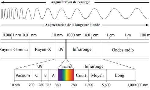 Figure 1.1 – Spectre électromagnétique. Source : [ 24 ]