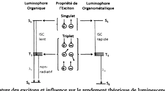 Figure 14. Nature des excitons et influence sur le rendement théorique de luminescence.