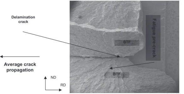 Figure II-47: Brittle tilted fracture going backward and partly covering the fatigue pre-crack front, Steel B