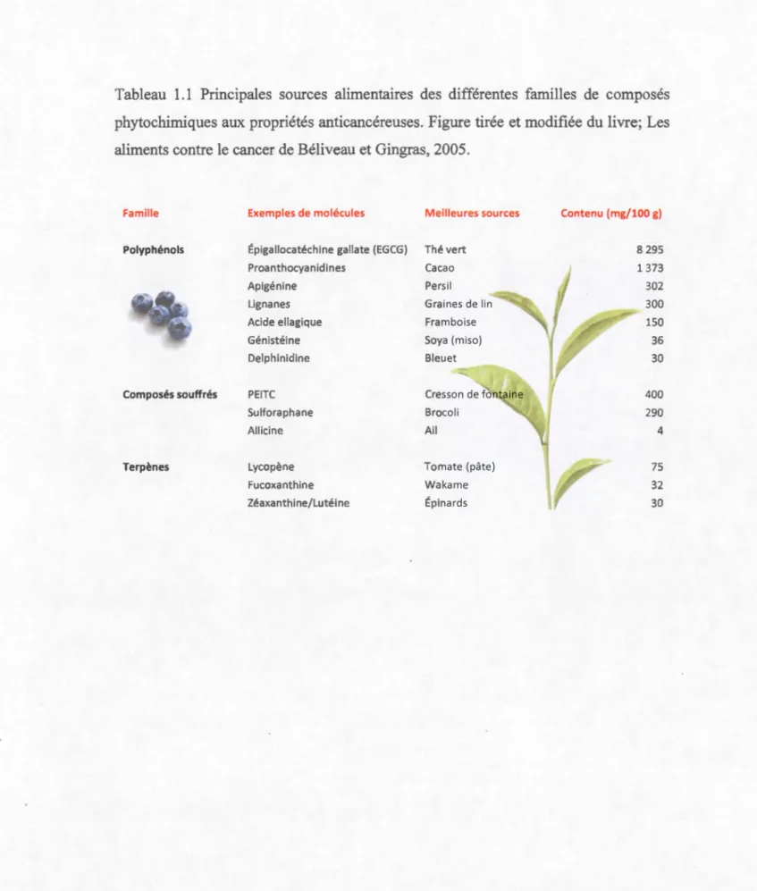 Tableau  1.1  Principales  sources  alimentaires  des  différentes  familles  de  composés 