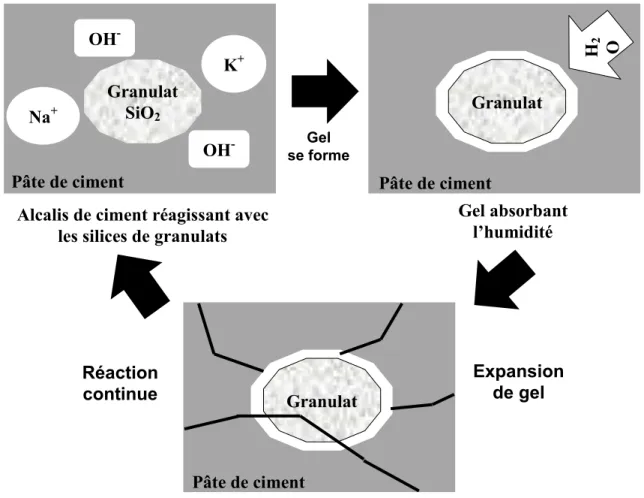 Figure 2.1. Schéma de la réaction alcalis-silice avec le gel produit et la fissuration générée par le gel  [adaptée de Kreitman, 2011]