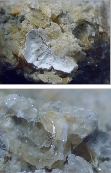 Figure 2.2. Gel de réaction alcalis-silice dans le béton d’un barrage construit dans les années 1960, (au- (au-dessus) à l’état solide pris avec le microscope (0.6x)  et, (au-dessous) à l’état visqueux translucide pris 