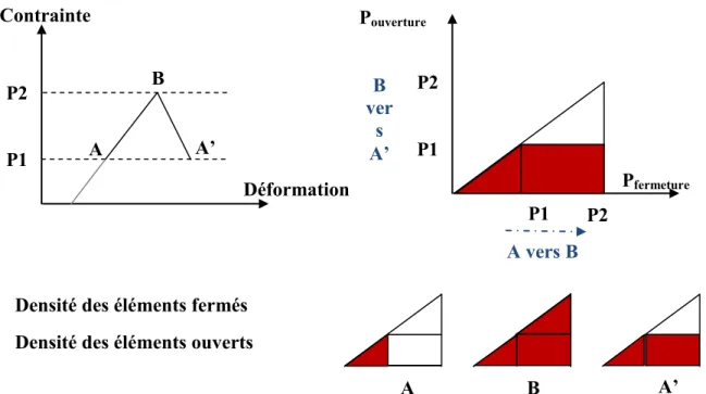 Figure 2.13. Comportement hystérétique selon le modèle de P-M dans un échantillon sous l’effet d’une  compression [Kodjo, 2009]