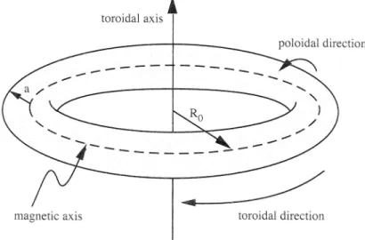 Fig. 1 – Ligne de champ s’enroulant autour d’une