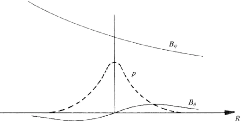 Fig. 5 – Variation des champs magn´etique et de la pression dans un tokamak (figure tir´ee de [15])