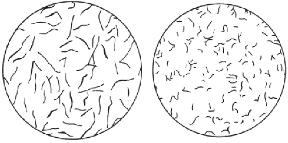 Figure 29. Deux exemples d’aspect au grossissement 100 des distributions des graphites au sein de la 