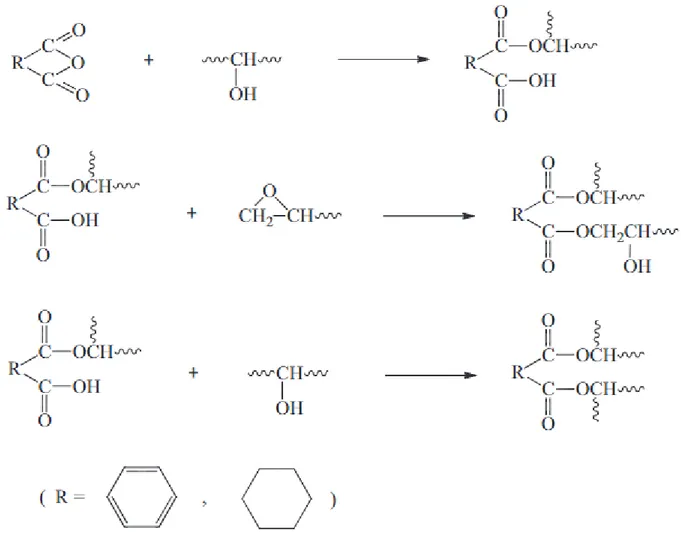 Figure 12. The mechanism of reaction between anhydrides and epoxy monomers in the presence of a  tertiary amine
