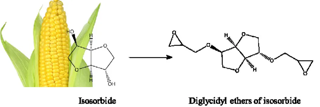Figure 17. Producing bio-epoxy monomer from corn. 