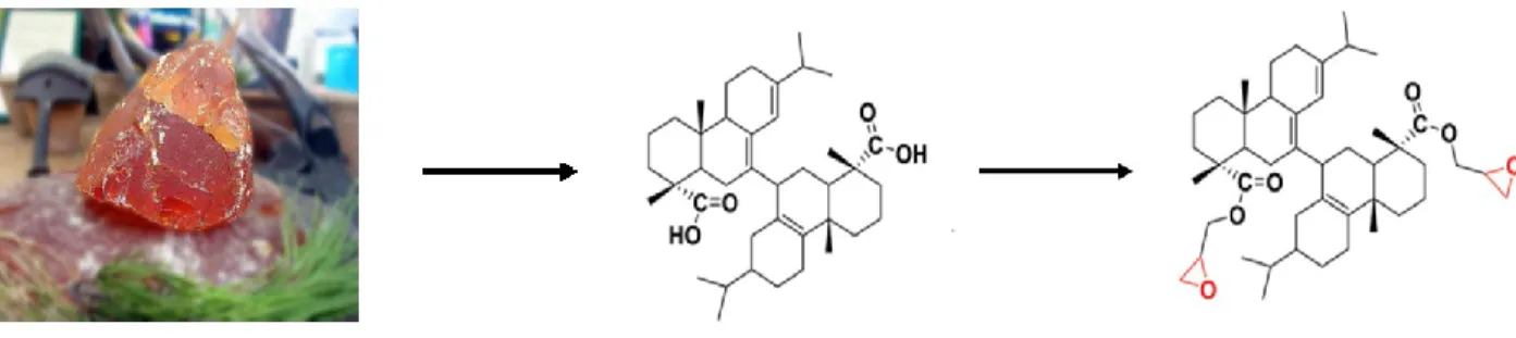 Figure 18. Synthesis bio epoxy monomer from rosin acids. 
