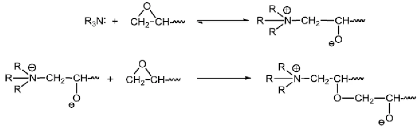 Figure 21. The curing mechanism reaction of epoxy monomers with tertiary amines. 88
