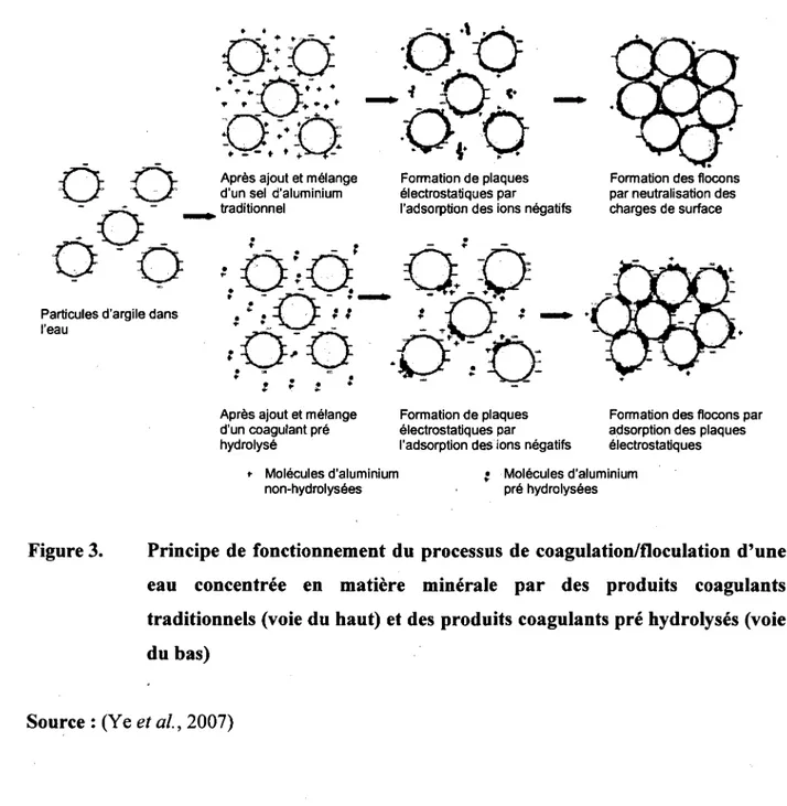 Figure 3. Principe de fonctionnement du processus de coagulation/floculation d'une  eau concentree en matiere minerale par des produits coagulants  traditionnels (voie du haut) et des produits coagulants pre hydrolyses (voie  du bas) 