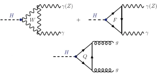 Figure 2.10: Leading order diagrams contributing to the loop–induced decays H → gg and H → γγ(Z).