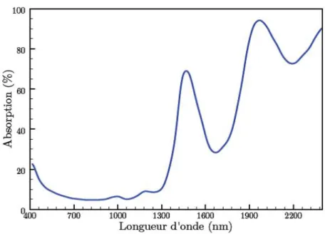 Figure 1.7  Spectre d'absorption typique d'une cornée. On remarque les pics à 1,45 µm et 1,94 µm [Morin 2010].