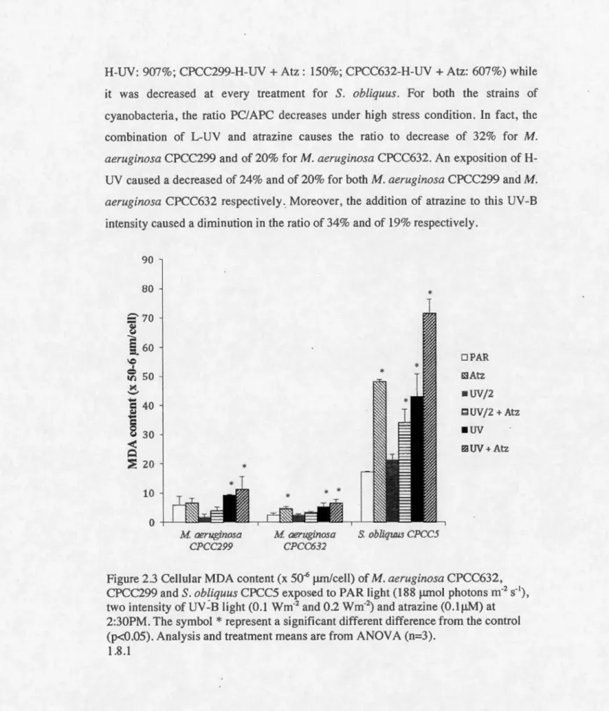 Figure  2 . 3 Cellular  MDA  content (x  50 ' 6  !-Lm /ce ll)  of  M.  aeruginosa  CPCC632 ,  CPCC299  and S