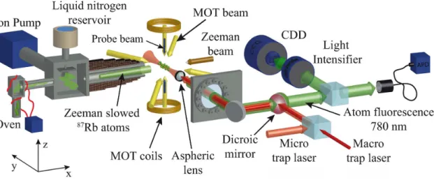 Figure 1.2.: Sketch of the experimental setup extracted from [Fuhrmanek, 2011]. A vapor of