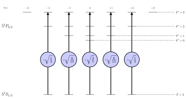 Figure 2.8.: Clebsh Gordan coefficients associated with π transition from (5S 1/2 , F = 2)