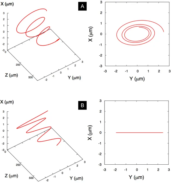 Fig. 2.2: Différents types de trajectoire électronique, en trois dimensions (gauche) et dans le plan transverse (droite)