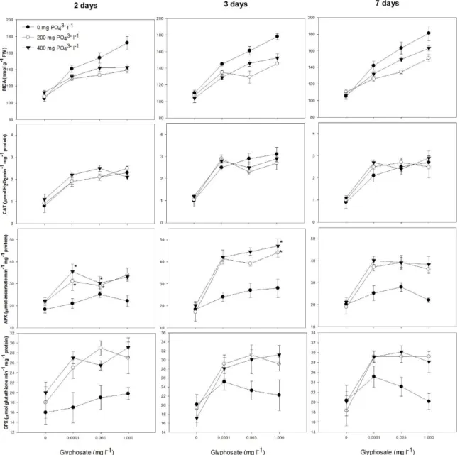 Fig  5.  Lipid  peroxidation  (MDA  content,  nmol  g -1   FW),  and  activity  of  catalase  (CAT,  µmol  H 2 O 2   min -1   mg -1   protein),  ascorbate  peroxidase  (APX  µmol  ascorbate  min -1   mg -1   protein)  and 