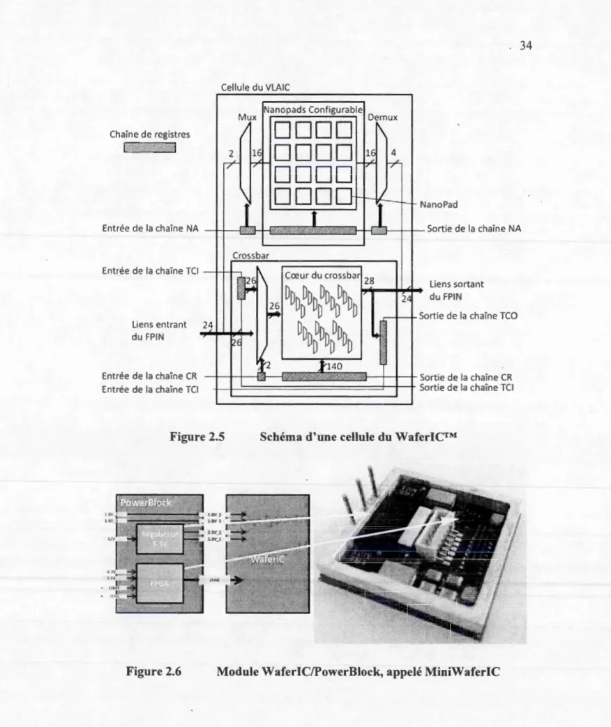 Figure 2.5  Schéma d ' un e cellule du  Wa feriC™ 