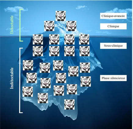 Figure 3. Représentation de l’effet iceberg de la maladie de Johne.  Les animaux hors de  l’eau, soit la pointe de l’iceberg, représentent des animaux détectables par les méthodes de  diagnostic actuelles dans un troupeau