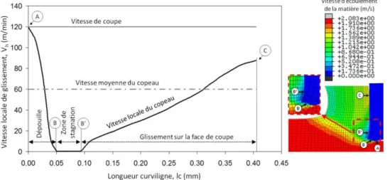 Figure 53 – Evolution numérique de la vitesse de glissement le long de l’outil,   dans un acier 316L, d’après [Bonn_08*] 