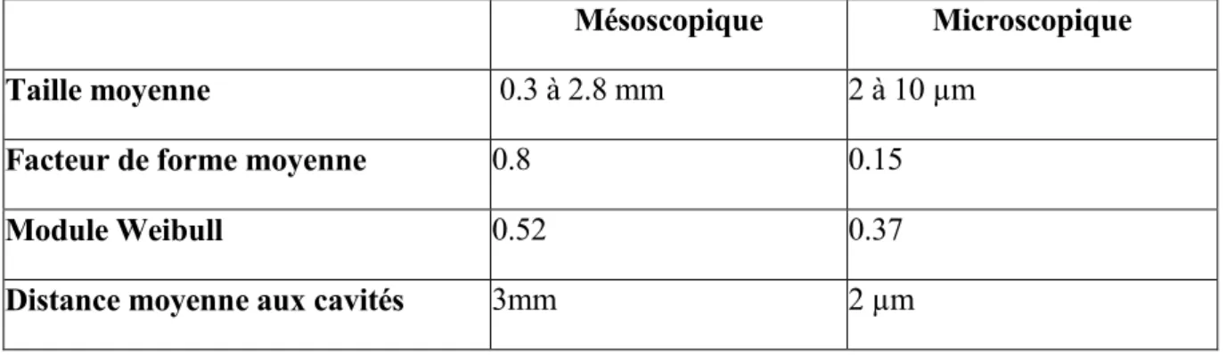 Tableau 1-3 : Mesure de la taille et de la distribution des porosités [Tey02] 